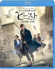 판타스틱 비스트와 마법사의 여행 [Blu-ray]