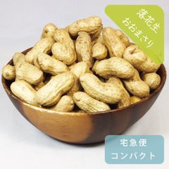 ゆで落花生用 おおまさり 約1kg 栽培期間中農薬不使用　塩茹で生ピーナッツ