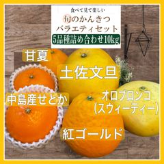 愛媛産　旬の柑橘5種　詰め合わせ　家庭用10kg