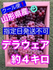 🧊クール便🧊山形県産ぶどう　デラウェア約４キロ