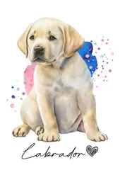 ポストカード【 Labrador Retriever / ラブラドール・レトリーバー 】イラスト アート 水彩画風 パステルカラー はがき -1