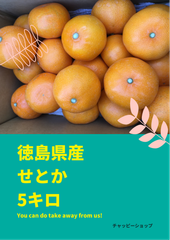 せとか　四国の柑橘　徳島県産　５キロ　柑橘　２L　秀品　果物　フルーツ　みかん