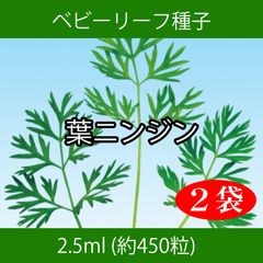ベビーリーフ種子 B-51 葉ニンジン 2.5ml x 2袋