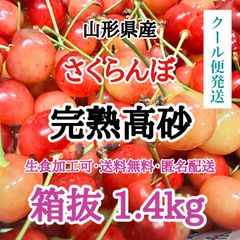 【クール便】山形県産 さくらんぼ 完熟高砂 箱抜 1.4kg 加工 生食 訳あり