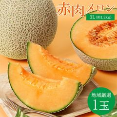 【順次ご発送】送料無料 赤肉メロン 1玉 3L 約 1.2 kg 赤肉 地域厳選 メロン マスクメロン レノン ルピアレッド クインシーメロン 夕張メロン ギフト ご自宅用 果物 くだもの フルーツ 訳あり 0件のレビュー