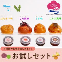 【いなみの里梅園】紀州南高梅 梅干お試しセット4種 和歌山県産 食品 梅干し 梅干 梅 うめぼし お試し  お取り寄せグルメ 珍味 はちみつ味 こんぶ風味 うす味 しそ風味 お返し 引っ越し 記念品