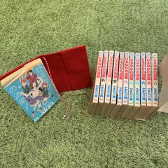 【全巻】「ひるなかの流星」1-12巻 やまもり三香（集英社）手作りブックカバー1個付き