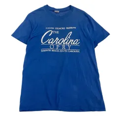 USA製 90s ヴィンテージ Tシャツ シングルステッチ ブルー メンズL