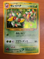 ポケモンカード　旧裏　キレイハナ　psa10 PSA10】キレイハナ キラ 旧裏 ☆の通販 土日祝休@magi公式