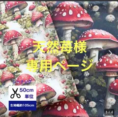 天然苺様専用ページ