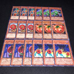 遊戯王 NO.809 プチトマボー トマボー キラートマト ボタニカルライオ サボウファイター にん人 各3枚 計18枚