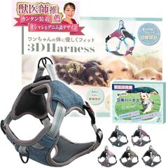 Item thumbnail for item 2db1f4bf-92e3-44d7-a5db-907707dac8d5