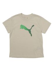 アズワン セルスクレーパー（２５×３８０ｍｍ）NCB1520022-4501-03 アズワン ビオラモセルスクレーパー 100本入 1-2248-01 1箱(100本)（直送品）