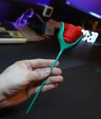 Silky Rose by Wookie