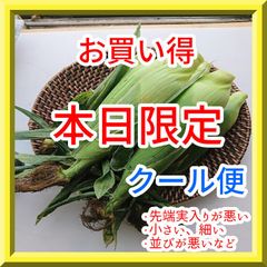 10本☆クール便！☆黄金の北海道高級とうもろこし☆激甘！糖度19度 ...