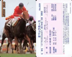 【中古】スポーツ No.228[レギュラーカード]：オペックホース