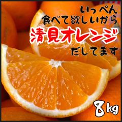 清見オレンジ　８kg