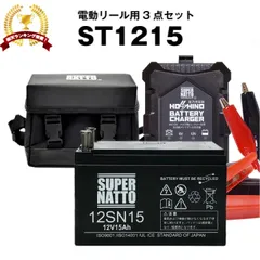 2025年最新】Daiwa タフバッテリー12000?の人気アイテム - メルカリ