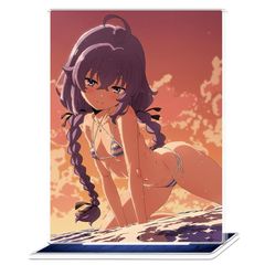 無職転生 ロキシー・ミグルディア キャラファイングラフ シリアルNo.063