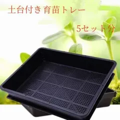 兼弥産業 カゴトレー 小浅 342mm×505mm×55mm 20個セット 農業