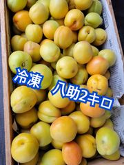 noko様 検討品 杏＆豊後梅 各500g - メルカリ