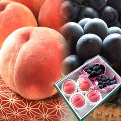 ナガノパープル 糖度13度以上高糖度の桃 フルーツギフト お中元 暑中お見舞い 残暑お見舞い 夏の贈り物 夏ギフト お世話になった方へ贈り物 [高糖度の桃4玉＆ナガパー2房R] 7月上旬より順次発送開始