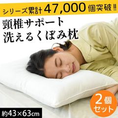 【2個セット】日本製 くぼみ型 頚椎サポート 洗える枕 約43×63cm 新品【MSP-29-85-2SET】