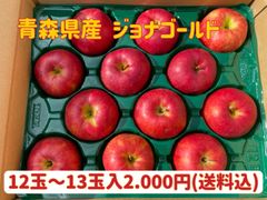 【訳あり】青森県産★ジョナゴールド12玉〜13玉入★りんご大玉