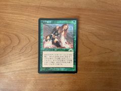 MTG EXO Manabond マナ結合