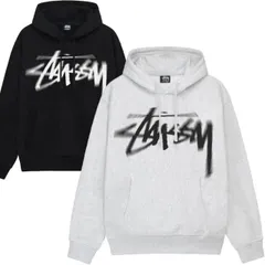STUSSY 23FA DIZZY STOCK ロゴ　パーカー　フーディー　スケーター