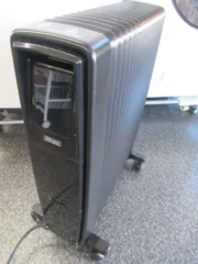 2025年最新】dimplex オイルフリーヒーター b06の人気アイテム