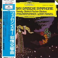 2025年最新】Lyrische_Symphonieの人気アイテム - メルカリ