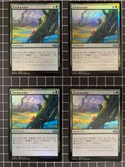 Mtg シングル:センギアの吸血鬼 団結のドミナリア ヒストリー