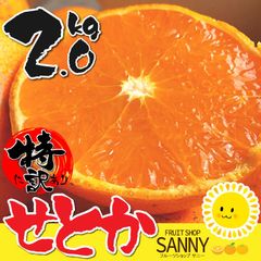 みかん 愛媛産 特に訳あり せとか 箱込2.0kg（外皮の傷・シミ多め）（2月中旬～ご注文順に順次発送）※沖縄・離島・北海道は発送不可