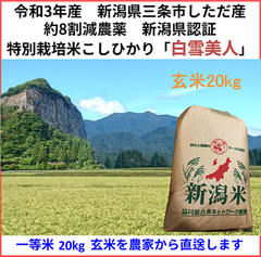 令和3年　新潟県三条市しただ産　減農薬特別栽培米コシヒカリ玄米20kg 白雪美人