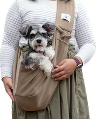 Item thumbnail for item ae9ce236-fa8a-417e-beb6-cc6af233f8b3