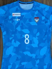 なでしこジャパン サッカー 日本代表 宮間あや ユニフォーム 半袖 正規品 祝！アジア大会優勝！！ なでしこジャパン（サッカー女子日本