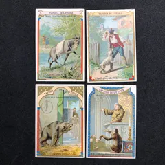 2025年最新】クロモカードの人気アイテム - メルカリ