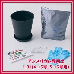 アンスリウム 専用土 2.5L 4号鉢を5号鉢に、5号鉢を6号鉢に植え替えたい方向け アンスリューム アンシカル