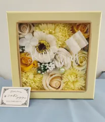 シャボンフラワー　観賞用