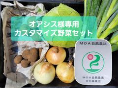 オアシス様専用　カスタマイズ野菜セット１０キロ