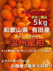 〝本場〟和歌山県有田産 有田みかん 温州みかん ご家庭用 5kgのサムネイル