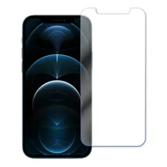 iPhone 12 mini ブルーライトカット PET フィルム Apple アップル 画面 液晶 保護 シート シール 傷 キズ 汚れ 指紋 防止 平面保護 衝撃吸収 目に優しい
