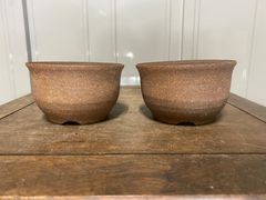 盆栽鉢　小品盆栽　2点セット　丸鉢　観葉植物　多肉植物　山野草　草花　花　雑木　松盆栽　松柏　サボテン　盆栽　ガーデニング　植木鉢