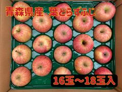 【家庭用】青森県産★葉とらずふじ16玉〜18玉入★りんご