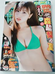 ヤングチャンピオン　No11　付録DVDのみ