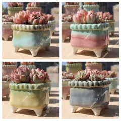 N0328 韓国  3号 4個セット 春日 四角 窯変 貫入 浮彫 植木鉢 室内 陶器鉢 多肉 植物 鉢植え 激安 レア インテリア プレゼント 海外 盆栽 おすすめ プランター 人気 デザイン 観葉植物