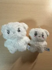 theboyz ヨンフン　ぬいぐるみ　トレカ theboyz ドボイズ ヨンフン ぬいぐるみ マスコット トレカ