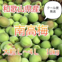 6/8発送クール便【和歌山県産】南高梅 青梅 大粒L~4L 10kg
