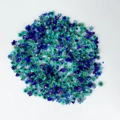 【数量限定】押し花 乾燥シート レジン ドライフラワー 430個入り ドライフラワー 花材 ホログラム パーツ レジン用 マルチカラー DIY 手芸 クラフト Blackioooドライフラワー 素材 おしゃれ アソートセット